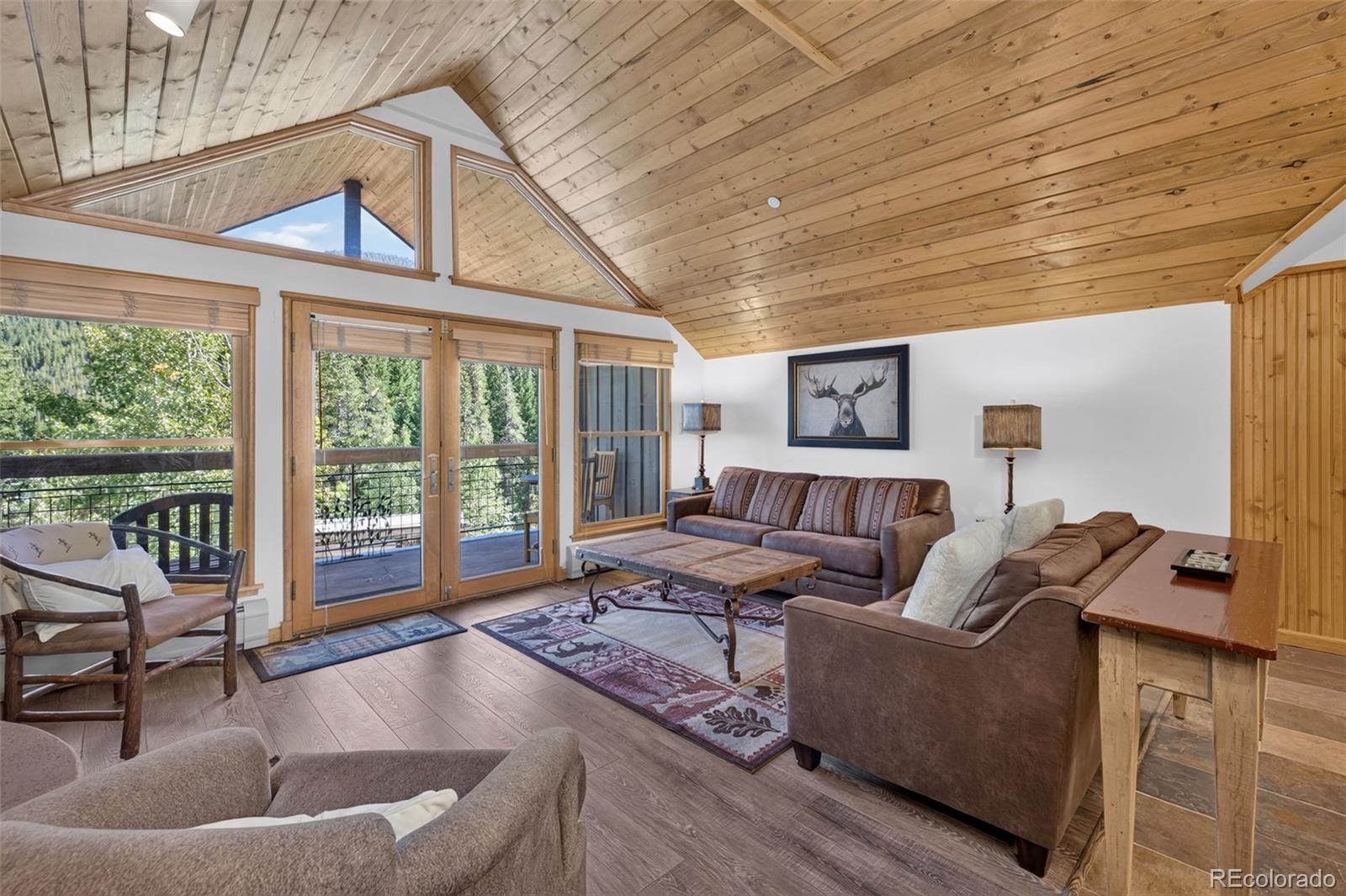 MLS Image #9 for 129  river run road,keystone, Colorado
