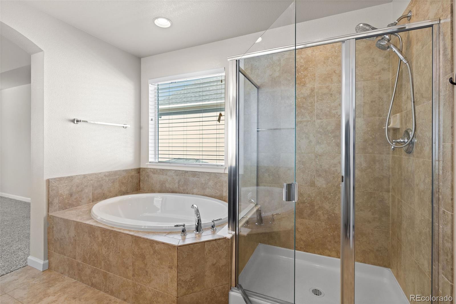 MLS Image #18 for 18188  tennyson lane,parker, Colorado