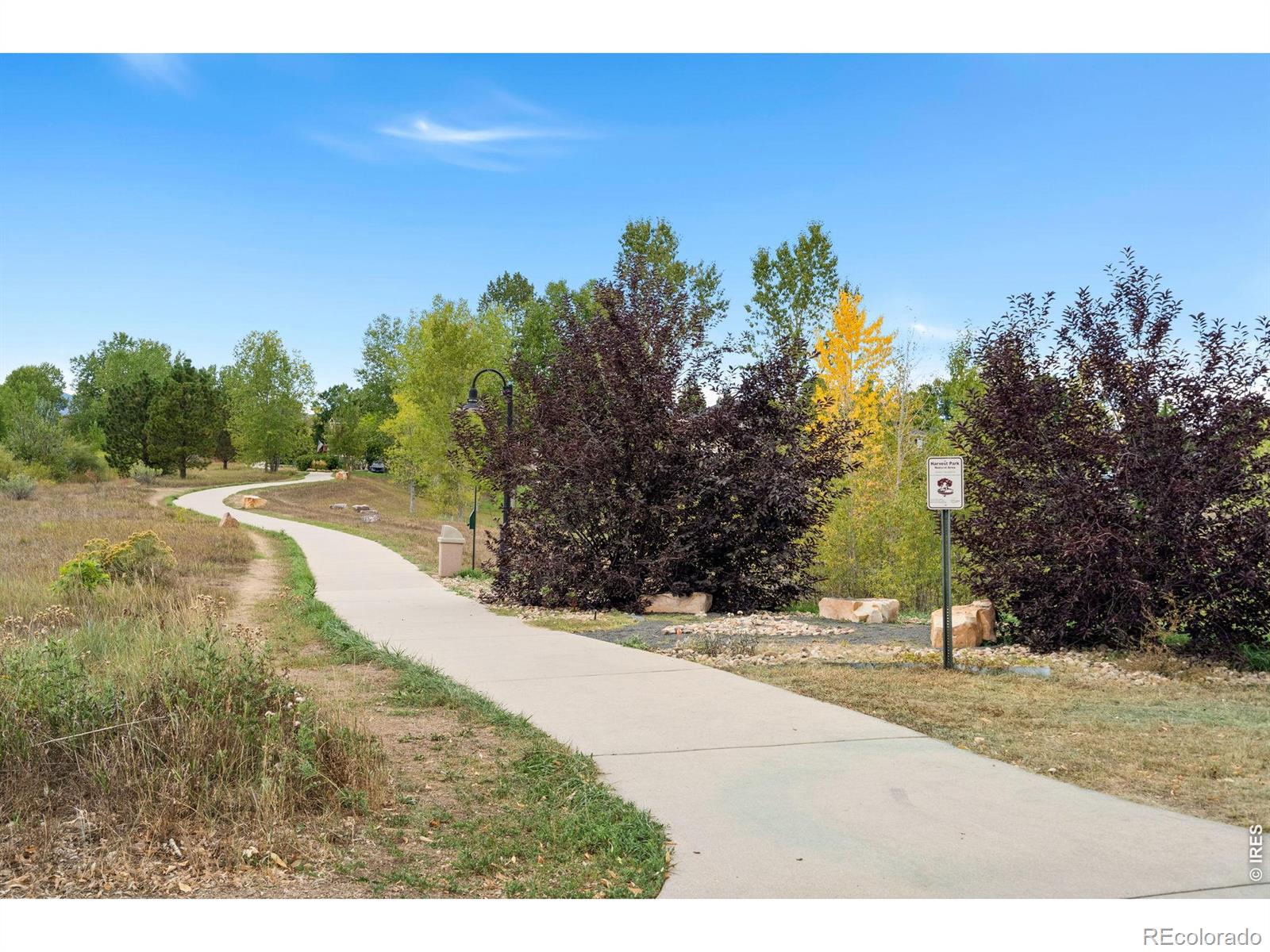 MLS Image #46 for 5420  corbett drive,fort collins, Colorado