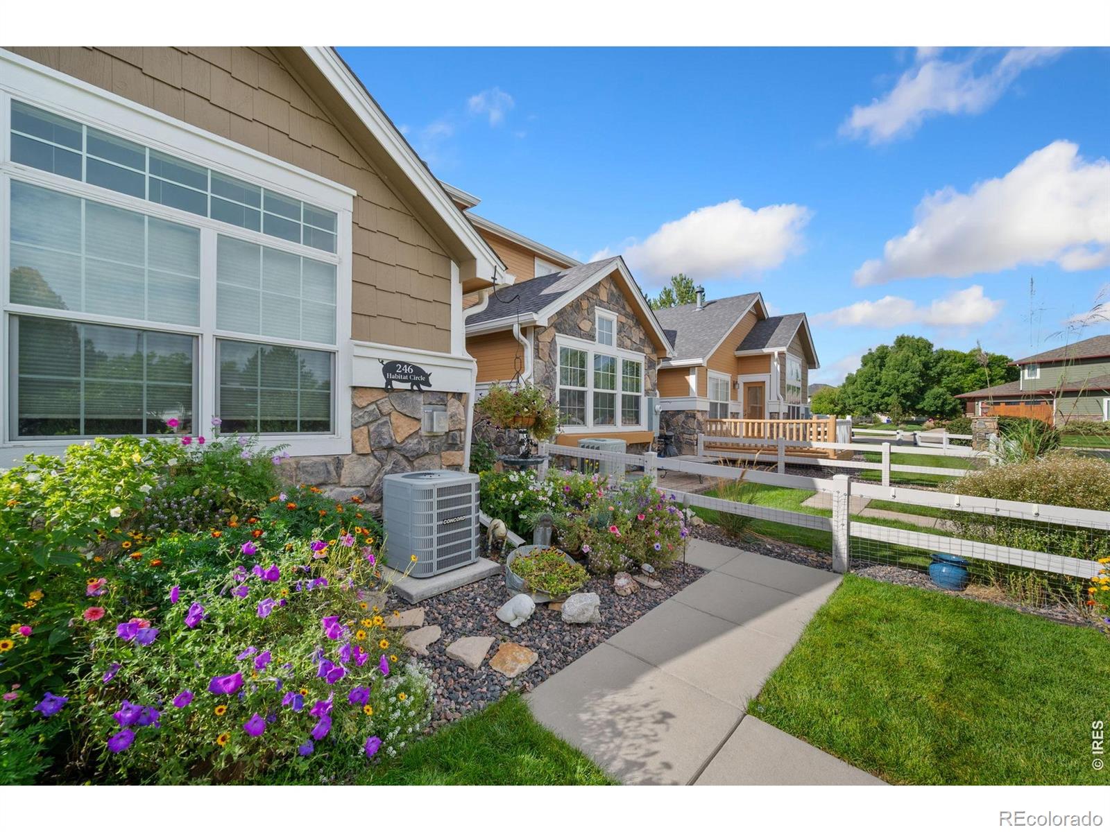 MLS Image #1 for 246  habitat circle,windsor, Colorado