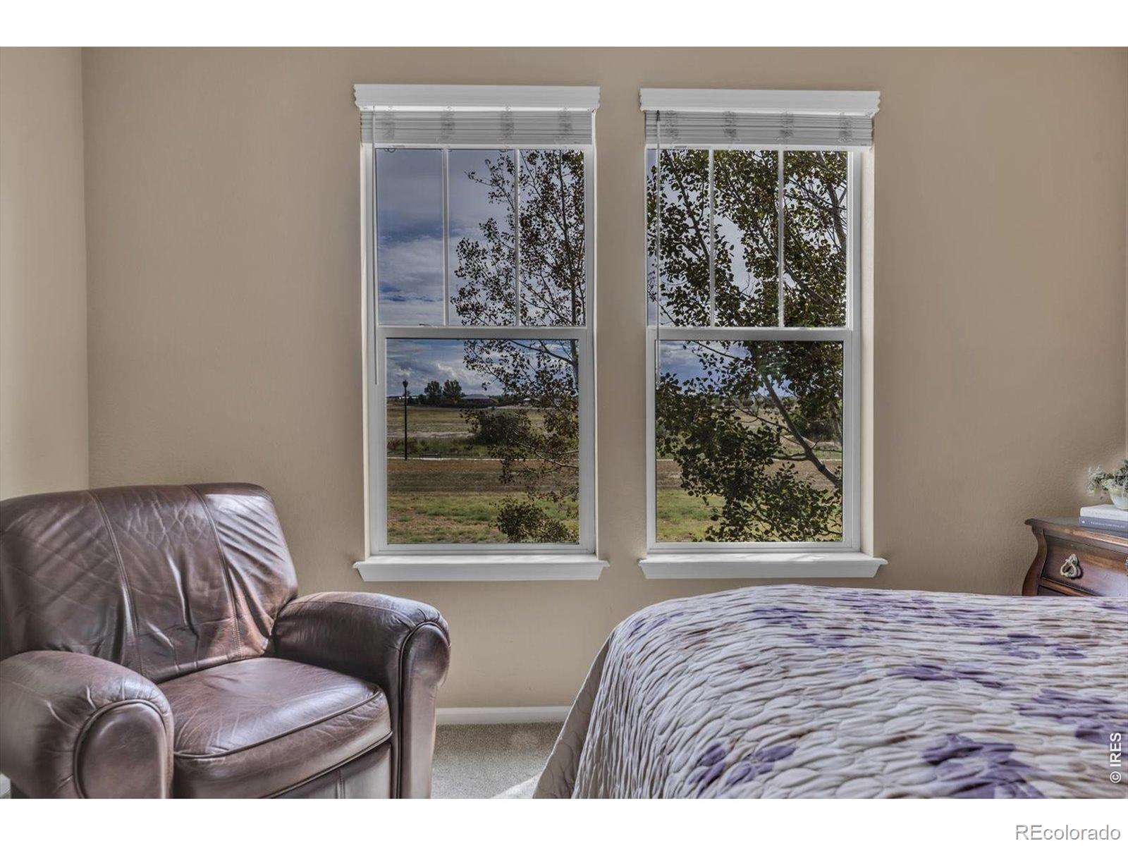 MLS Image #16 for 15912  st paul street,thornton, Colorado