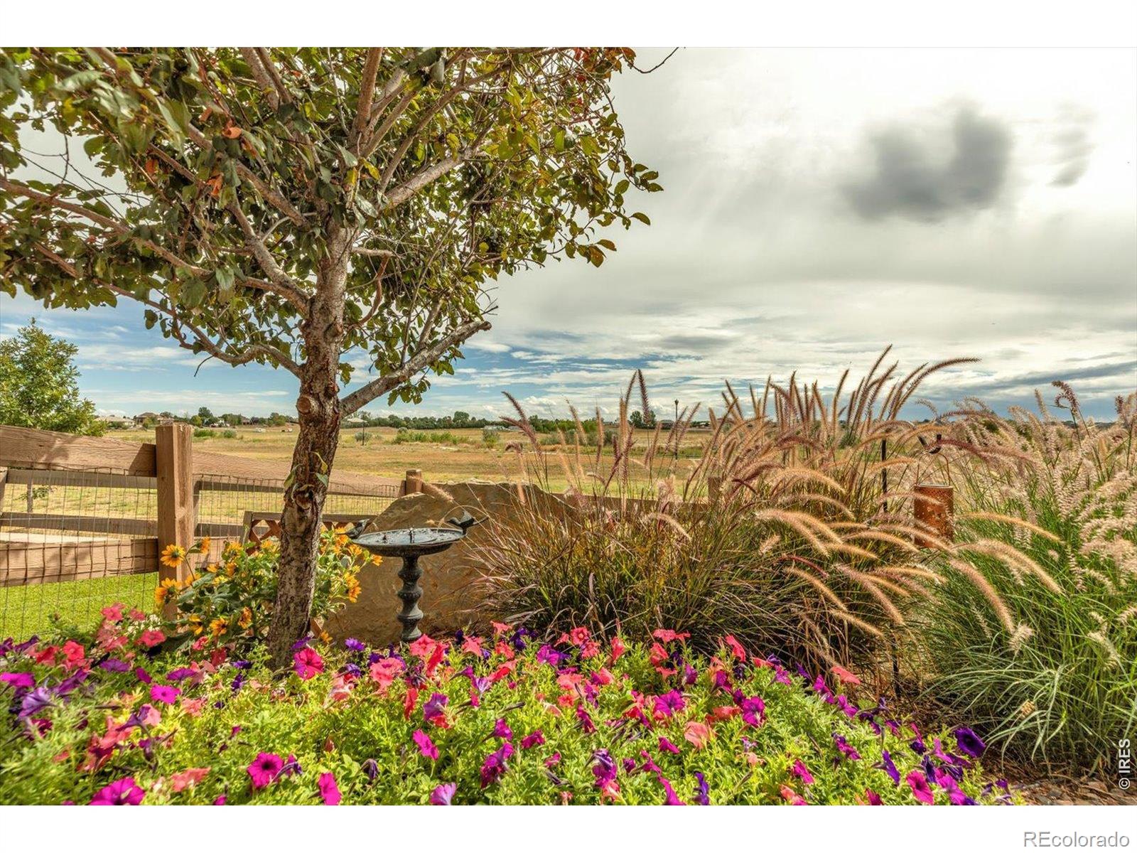 MLS Image #28 for 15912  st paul street,thornton, Colorado