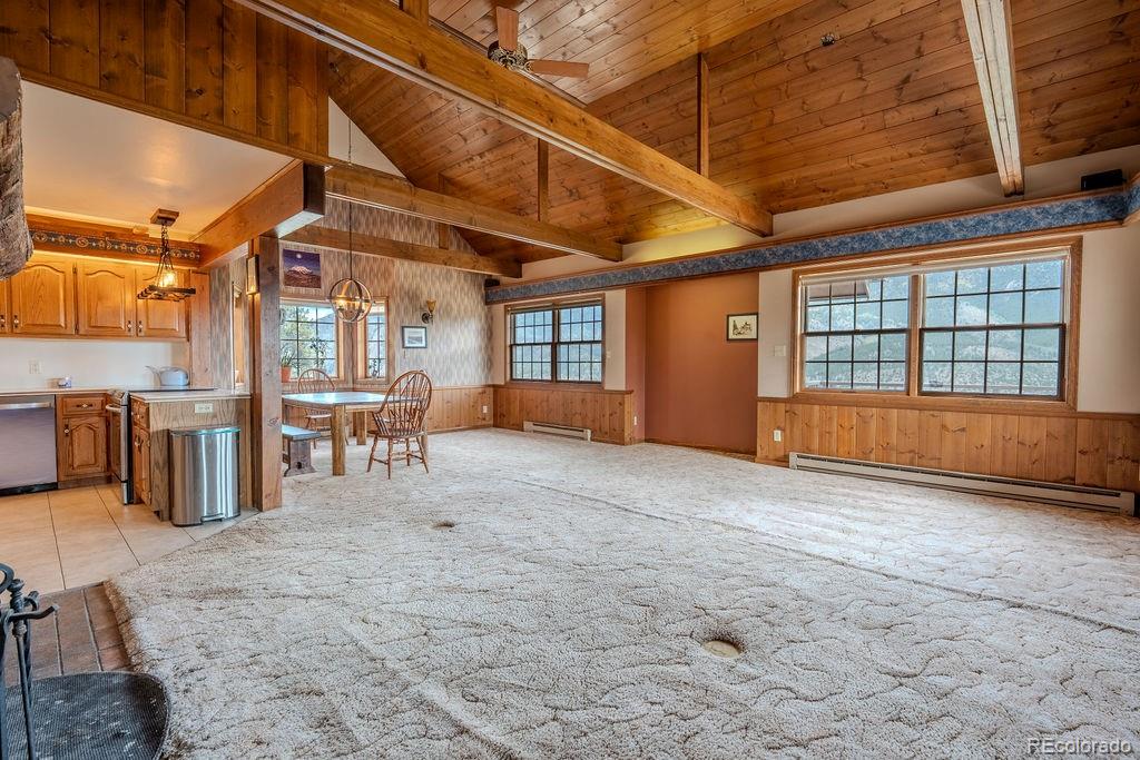 MLS Image #20 for 37811  twin kopie road,buena vista, Colorado