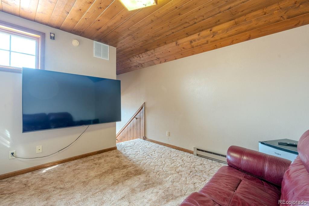 MLS Image #30 for 37811  twin kopie road,buena vista, Colorado