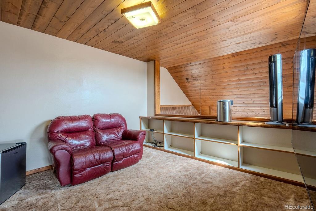 MLS Image #31 for 37811  twin kopie road,buena vista, Colorado