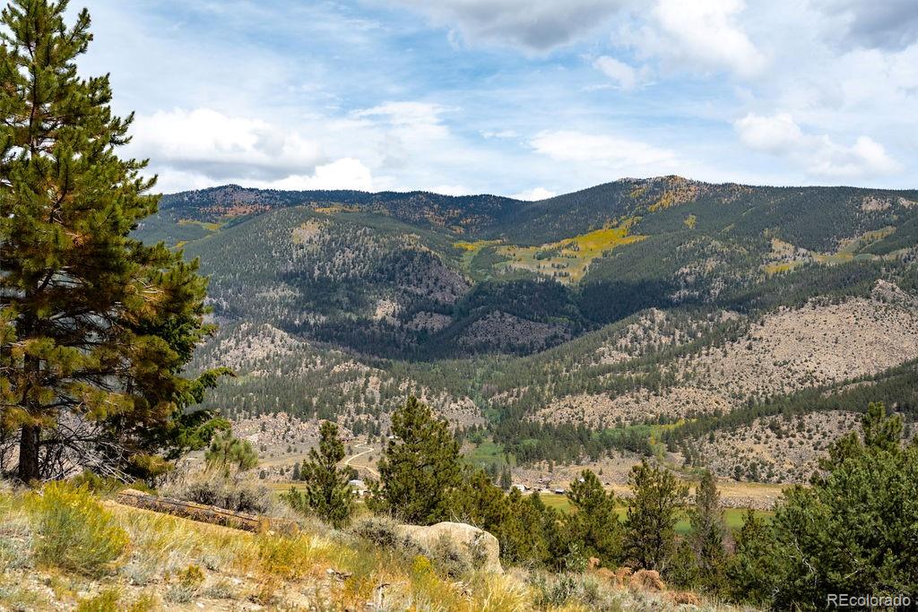 MLS Image #39 for 37811  twin kopie road,buena vista, Colorado