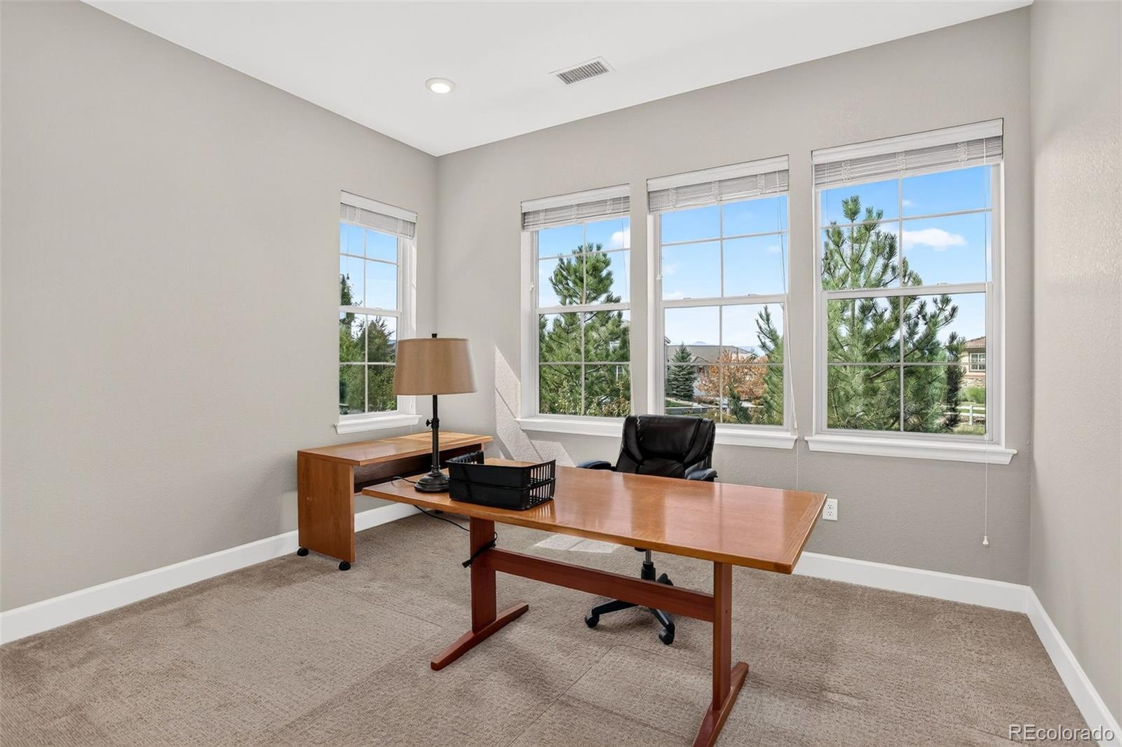MLS Image #37 for 781  woodgate drive,highlands ranch, Colorado
