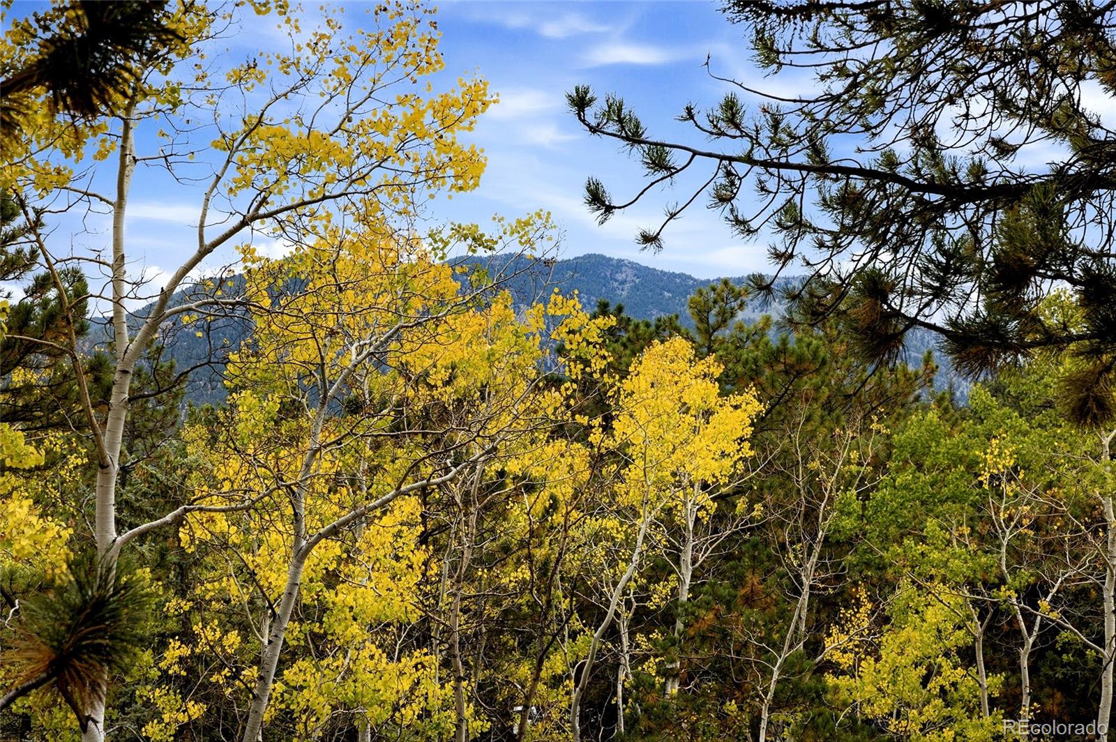 MLS Image #22 for 32187  sylvan road,golden, Colorado