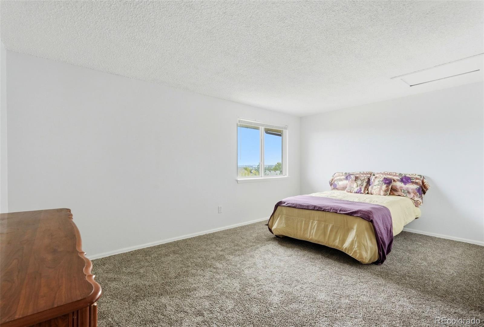 MLS Image #23 for 1060  downing way,denver, Colorado