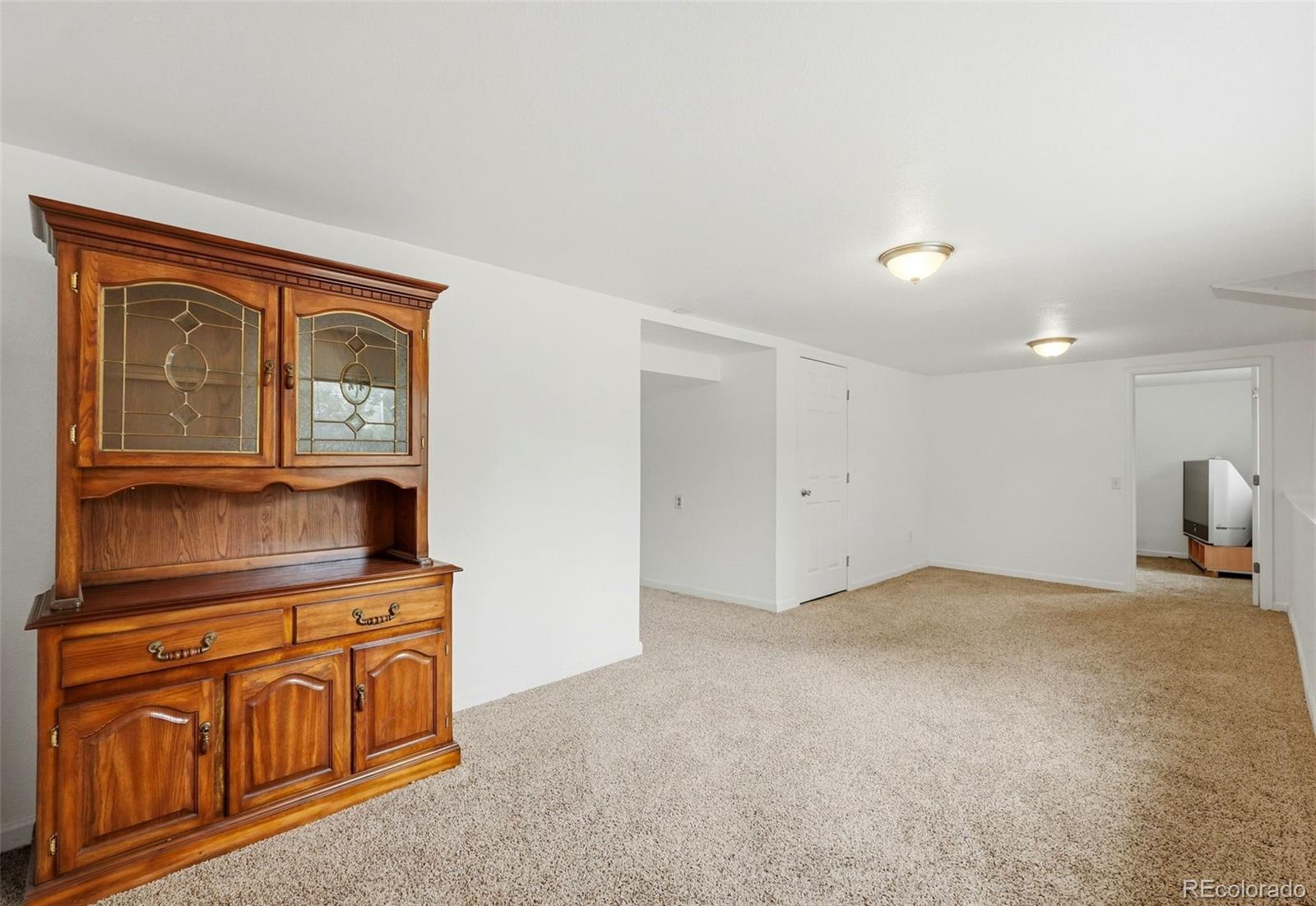 MLS Image #31 for 1060  downing way,denver, Colorado