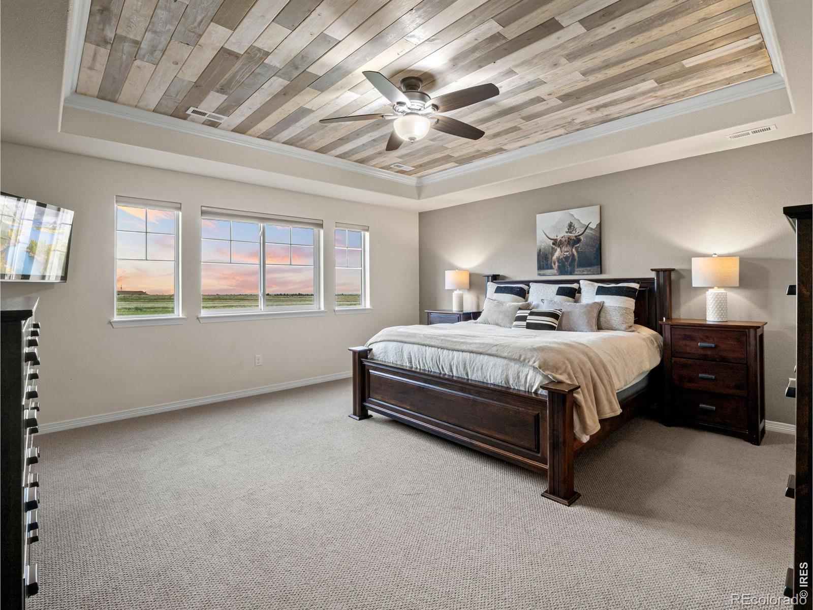 MLS Image #26 for 20021 w 95th place,arvada, Colorado