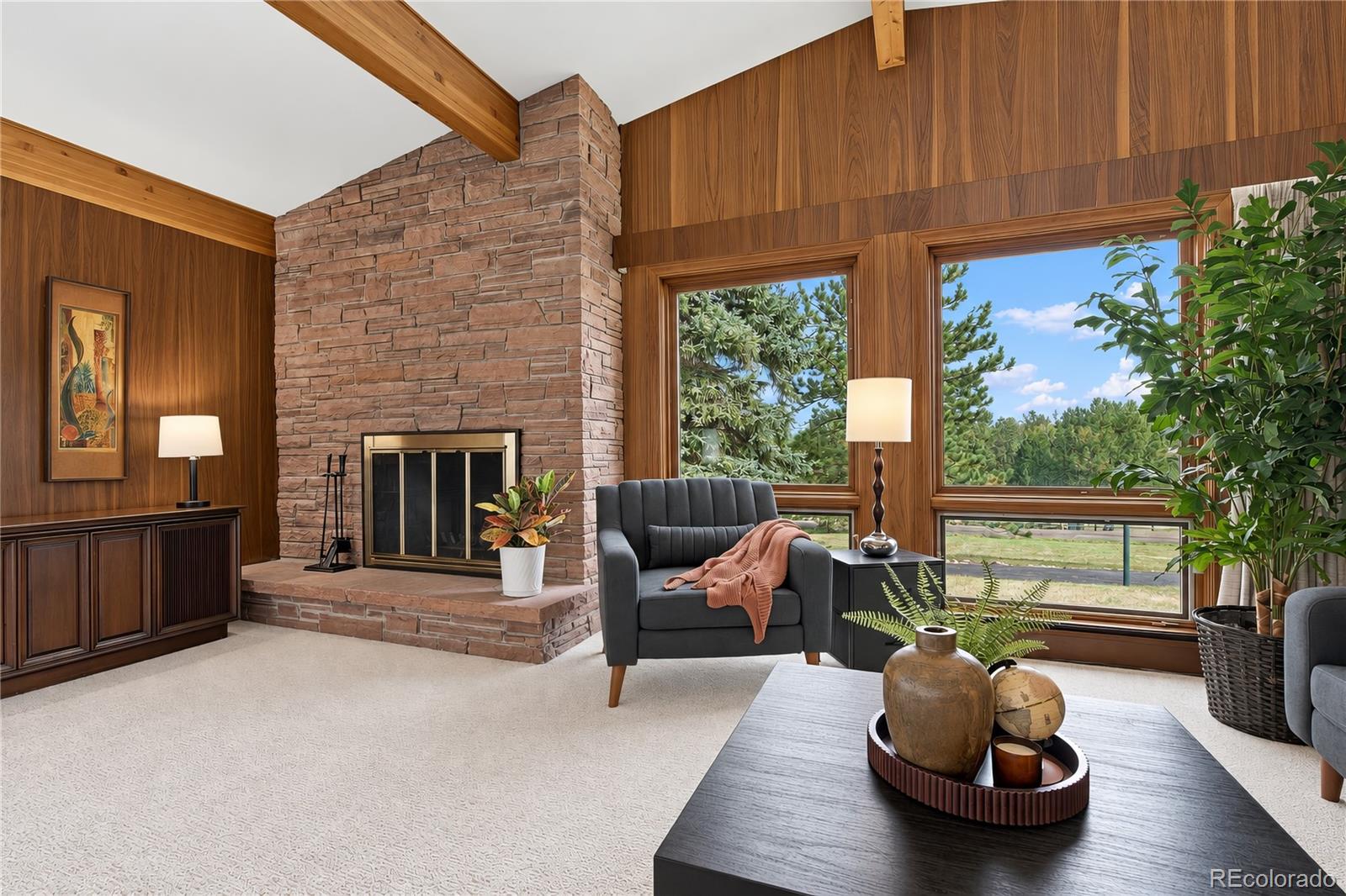 MLS Image #5 for 29574  paint brush drive,evergreen, Colorado