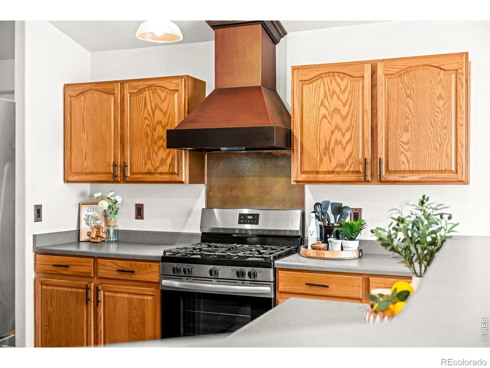 MLS Image #15 for 8795 e 105th court,henderson, Colorado