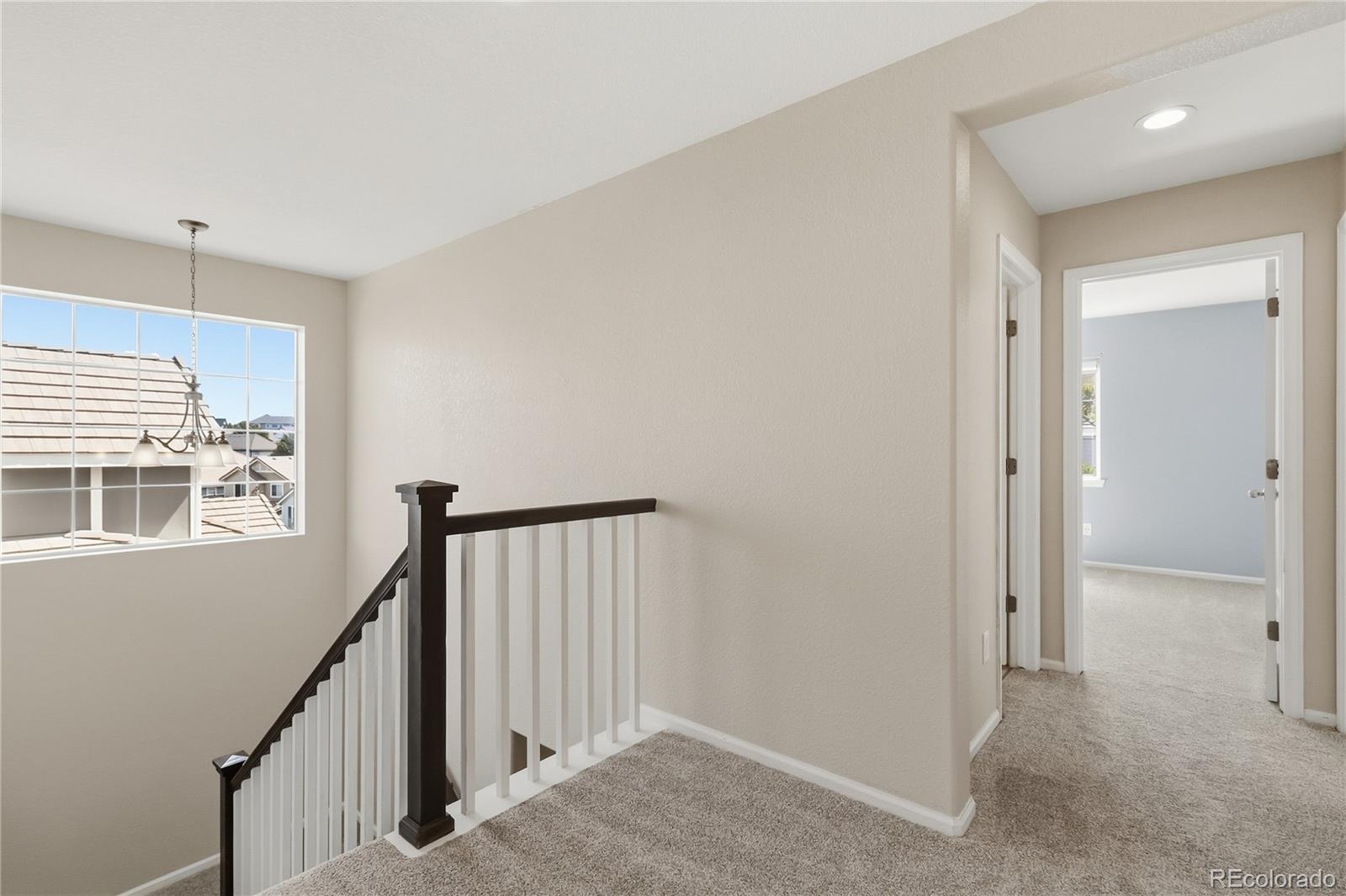 MLS Image #22 for 2875  shadow dance drive,castle rock, Colorado