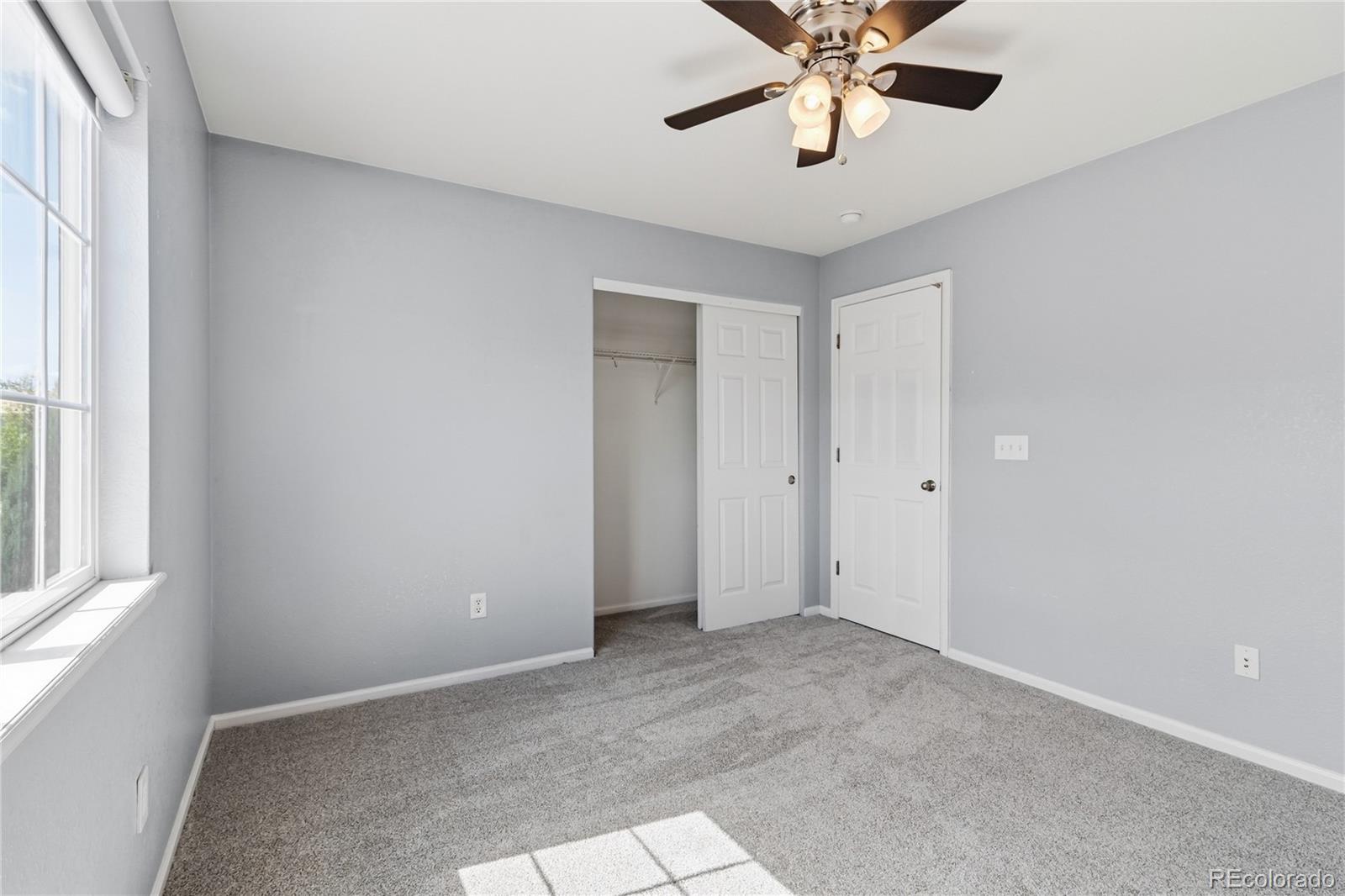 MLS Image #24 for 2875  shadow dance drive,castle rock, Colorado