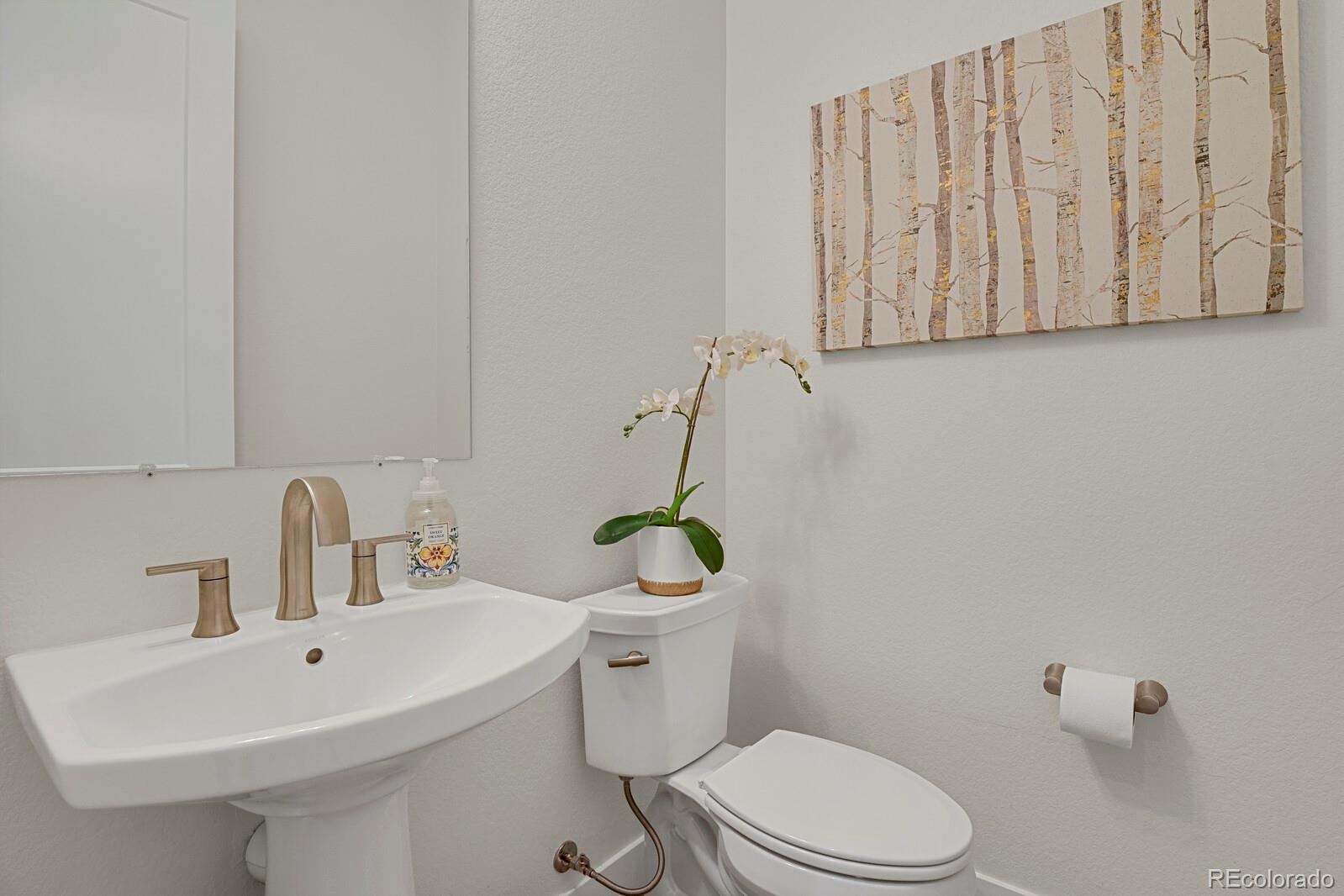 MLS Image #19 for 7359  canyon sky trail,castle pines, Colorado