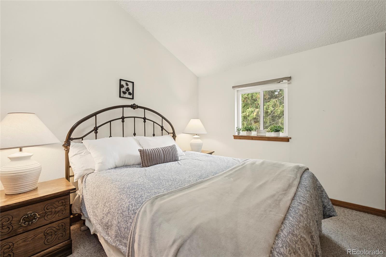 MLS Image #19 for 500  vasquez road,winter park, Colorado