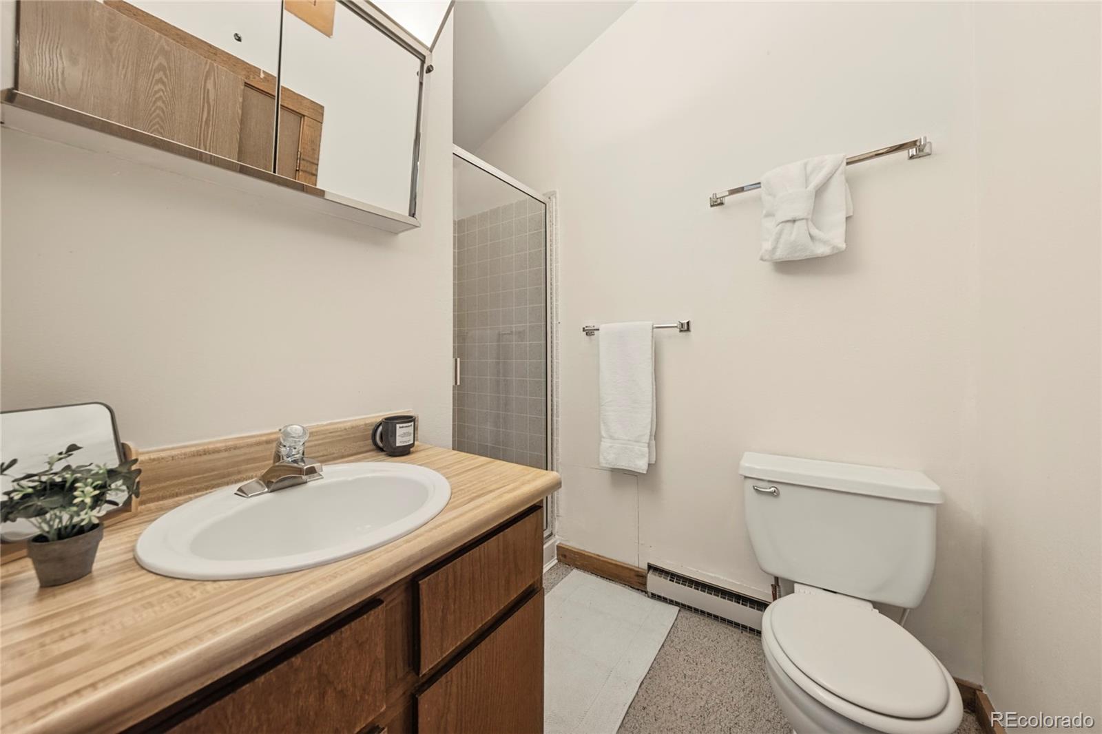 MLS Image #21 for 500  vasquez road,winter park, Colorado