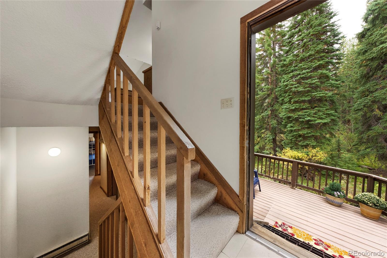 MLS Image #6 for 500  vasquez road,winter park, Colorado