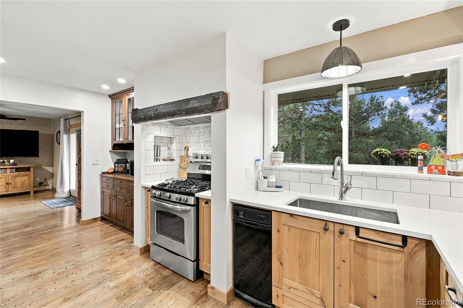 MLS Image #10 for 4590  parmalee gulch road road,indian hills, Colorado