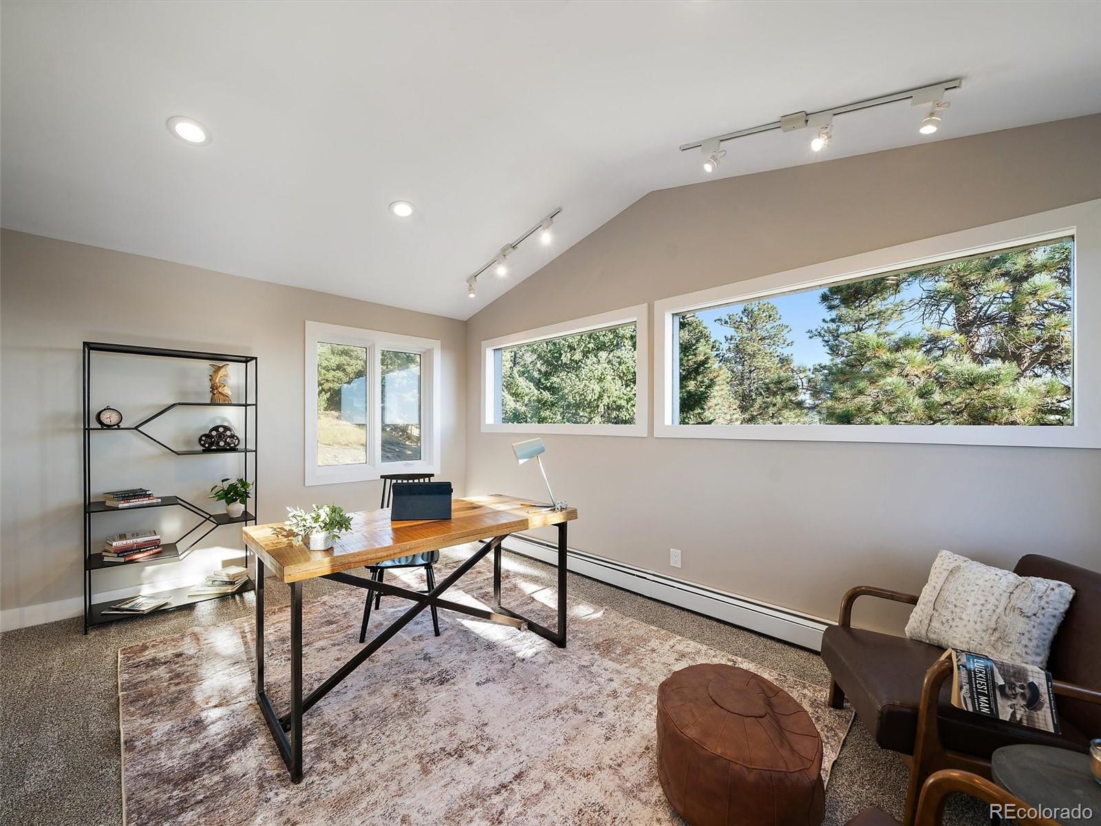 MLS Image #21 for 6954  olympus drive,evergreen, Colorado