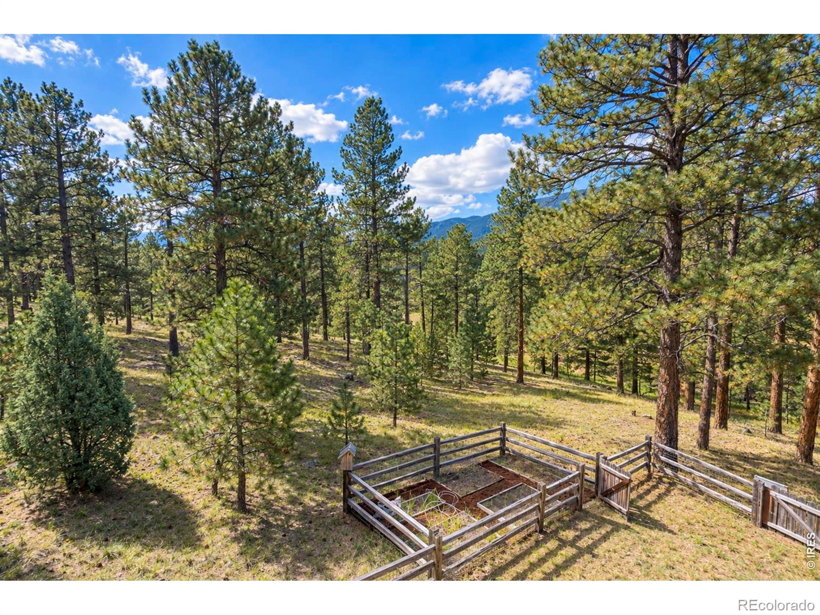 MLS Image #41 for 1667  keystone drive,evergreen, Colorado