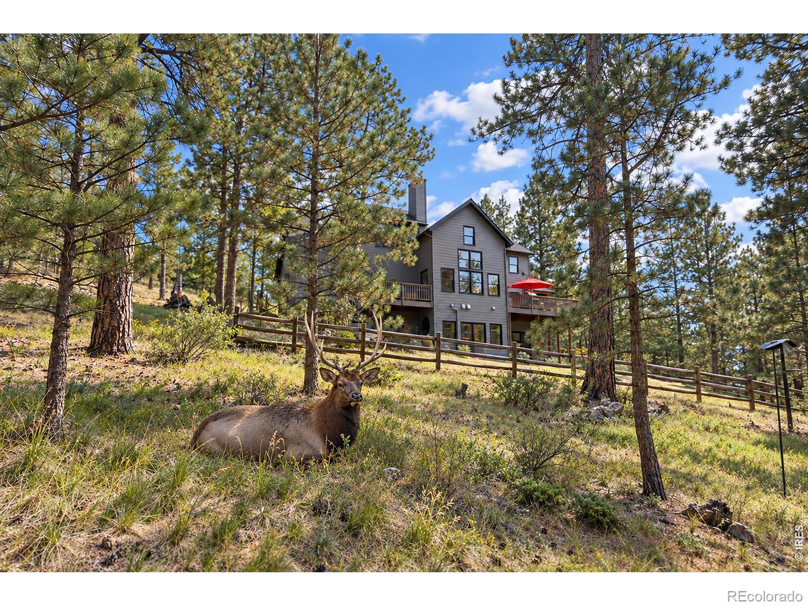 MLS Image #47 for 1667  keystone drive,evergreen, Colorado
