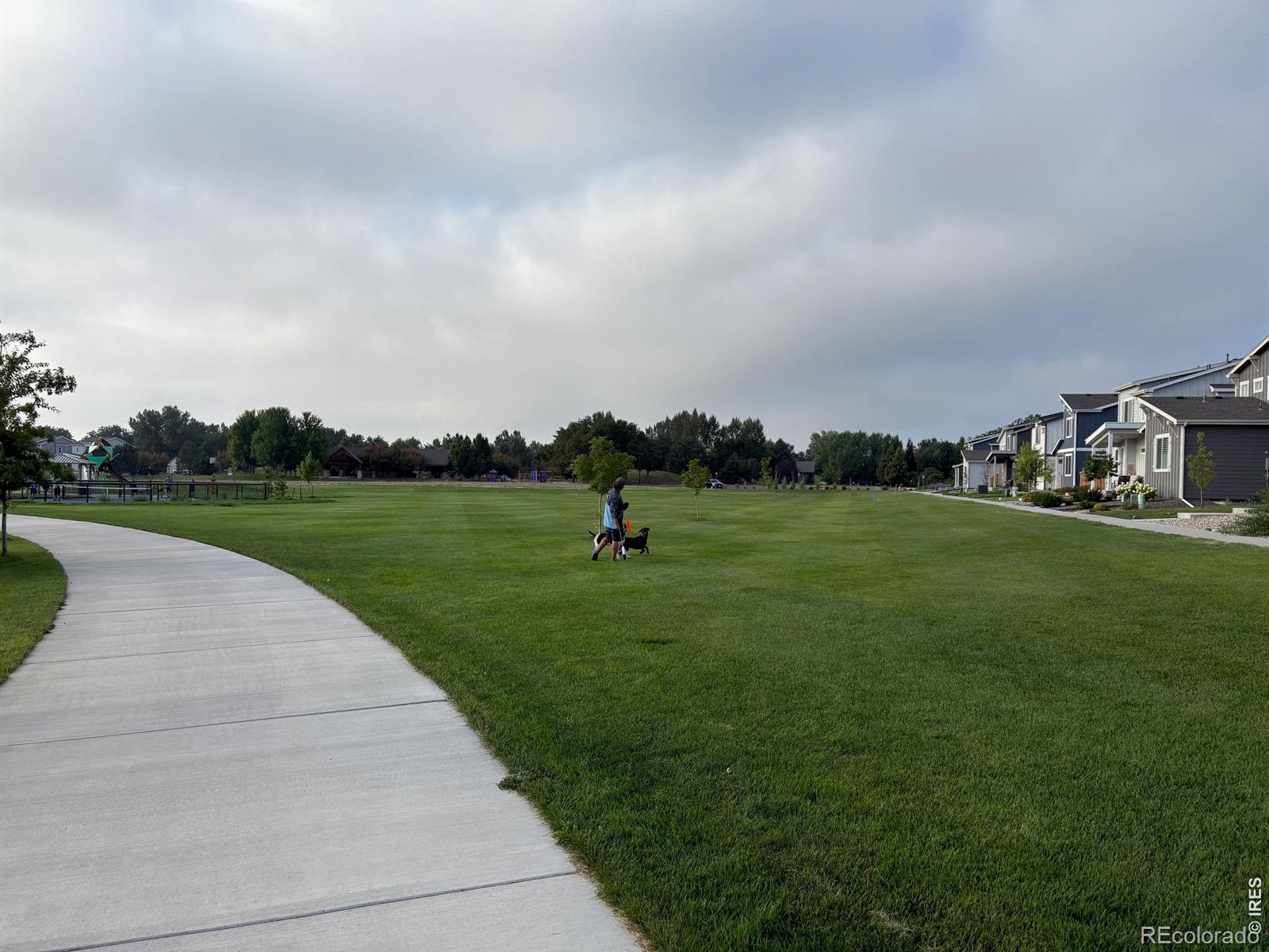 MLS Image #20 for 333  pyramid peak street,berthoud, Colorado