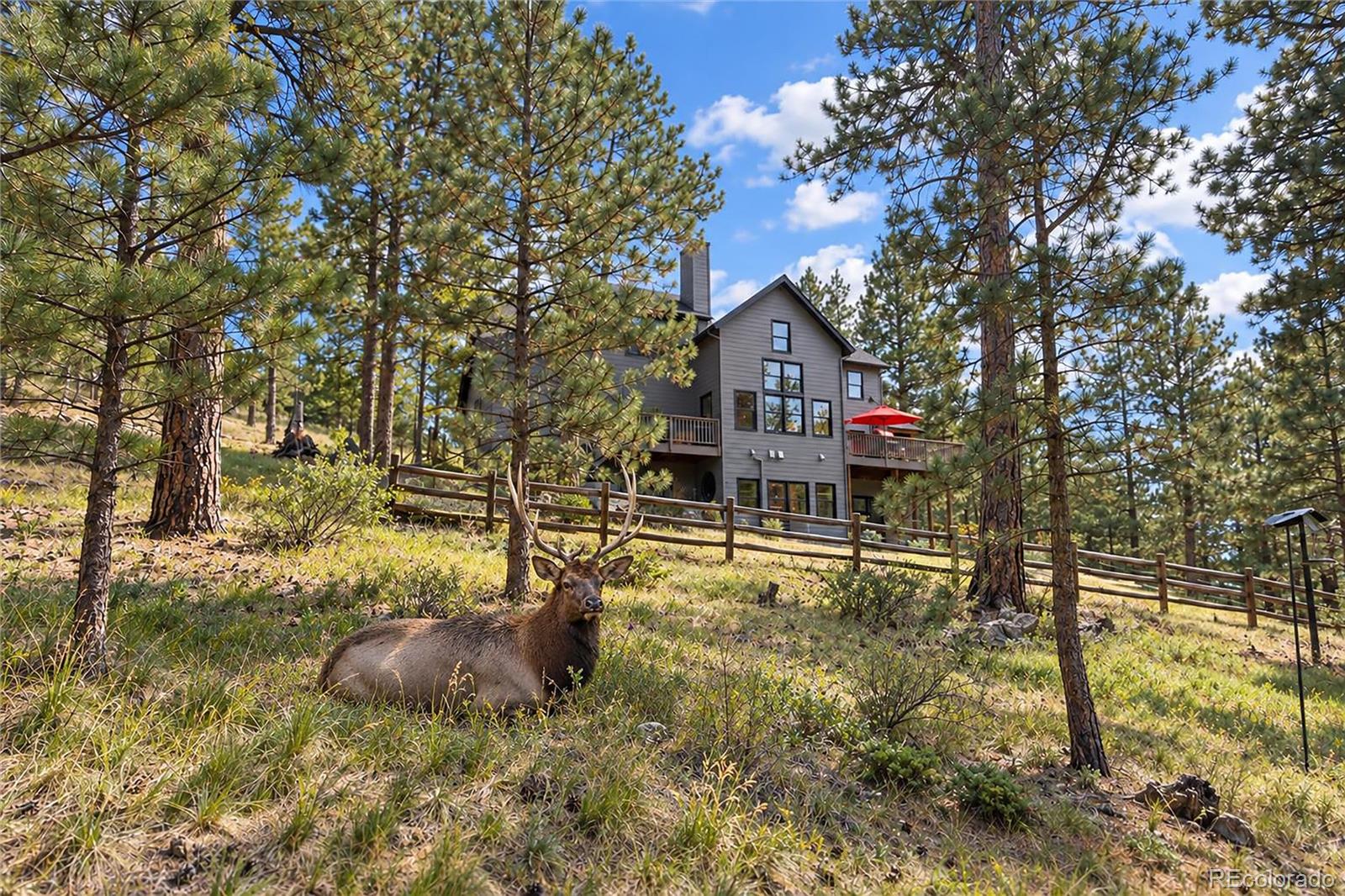 MLS Image #3 for 1667  keystone drive,evergreen, Colorado