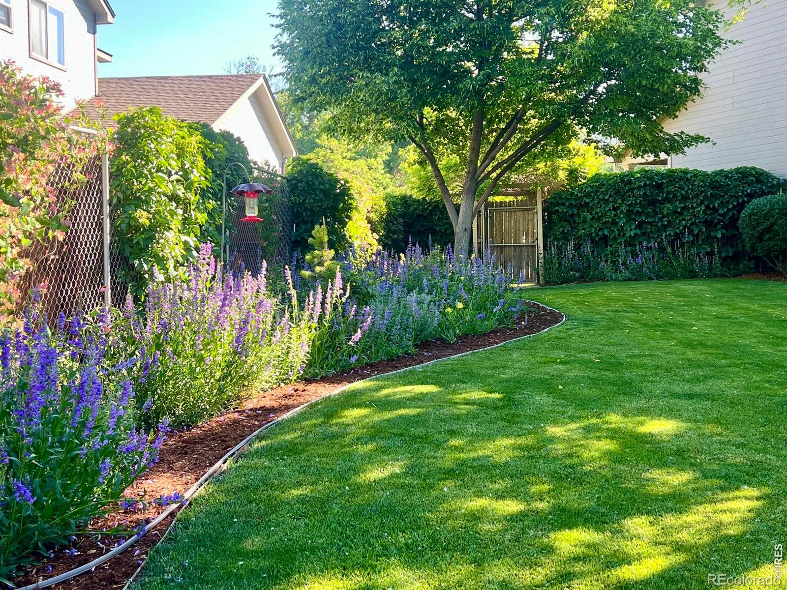 MLS Image #28 for 2313  village lane,longmont, Colorado