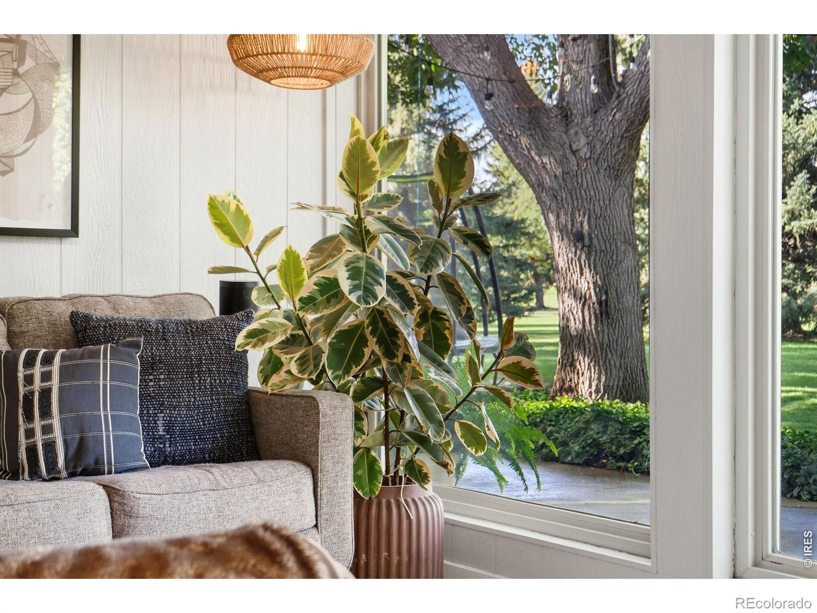MLS Image #25 for 2209  turnberry road,fort collins, Colorado