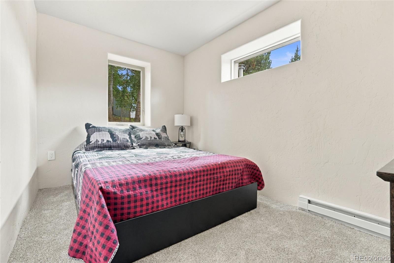 MLS Image #10 for 2071  county road 58 ,grant, Colorado