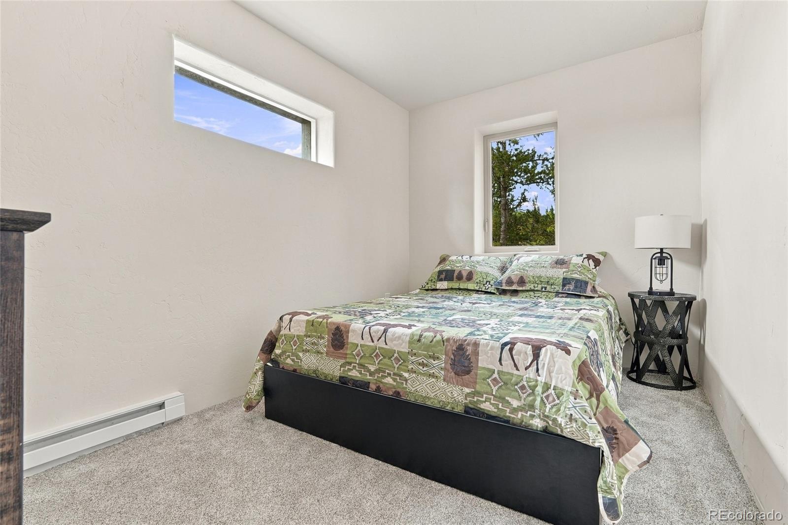 MLS Image #11 for 2071  county road 58 ,grant, Colorado