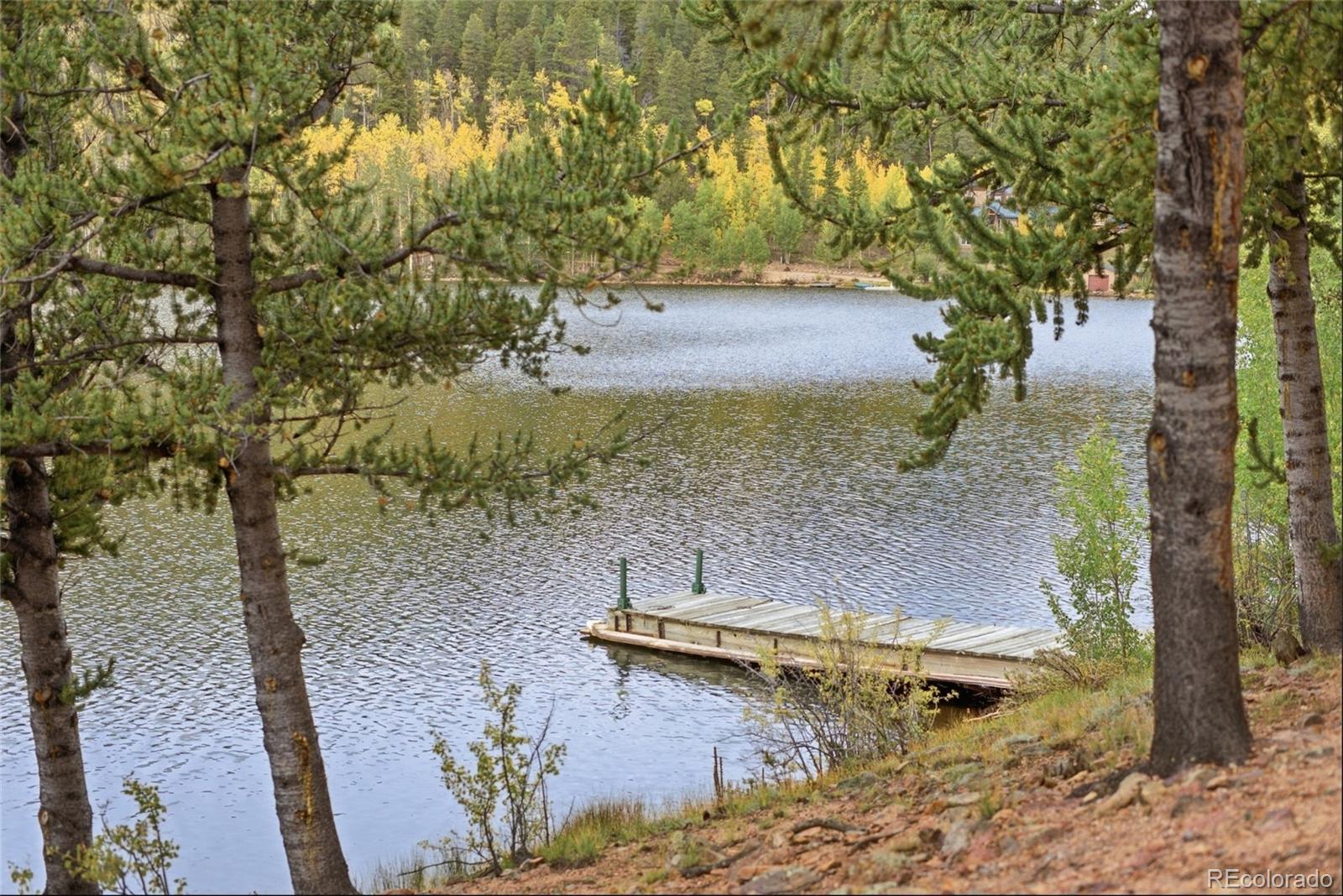 MLS Image #18 for 2071  county road 58 ,grant, Colorado