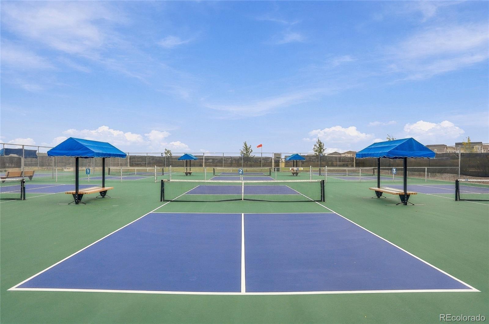 MLS Image #28 for 14131  blue heart court,parker, Colorado