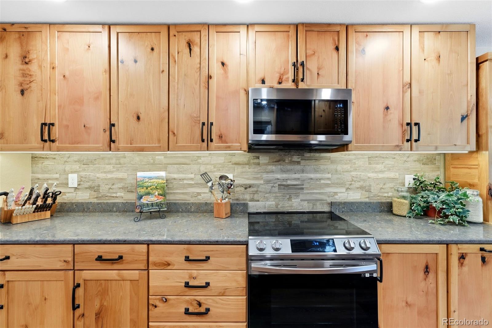 MLS Image #14 for 1145  garlock lane,colorado springs, Colorado