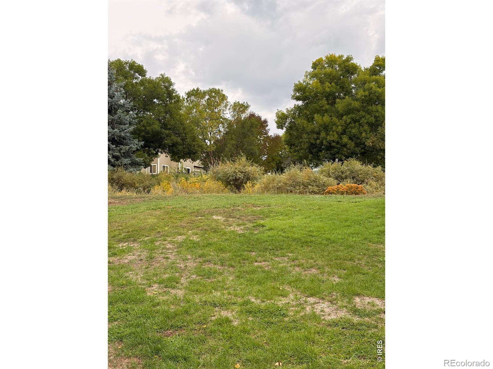 MLS Image #3 for 2052  salida court,loveland, Colorado