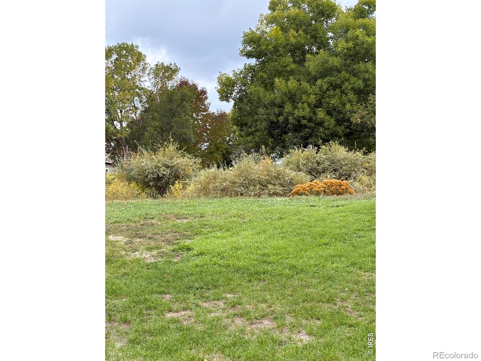 MLS Image #4 for 2052  salida court,loveland, Colorado