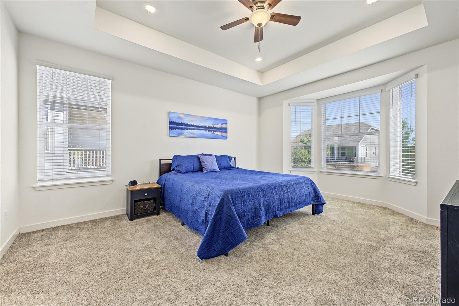 MLS Image #21 for 15682  willow street,thornton, Colorado