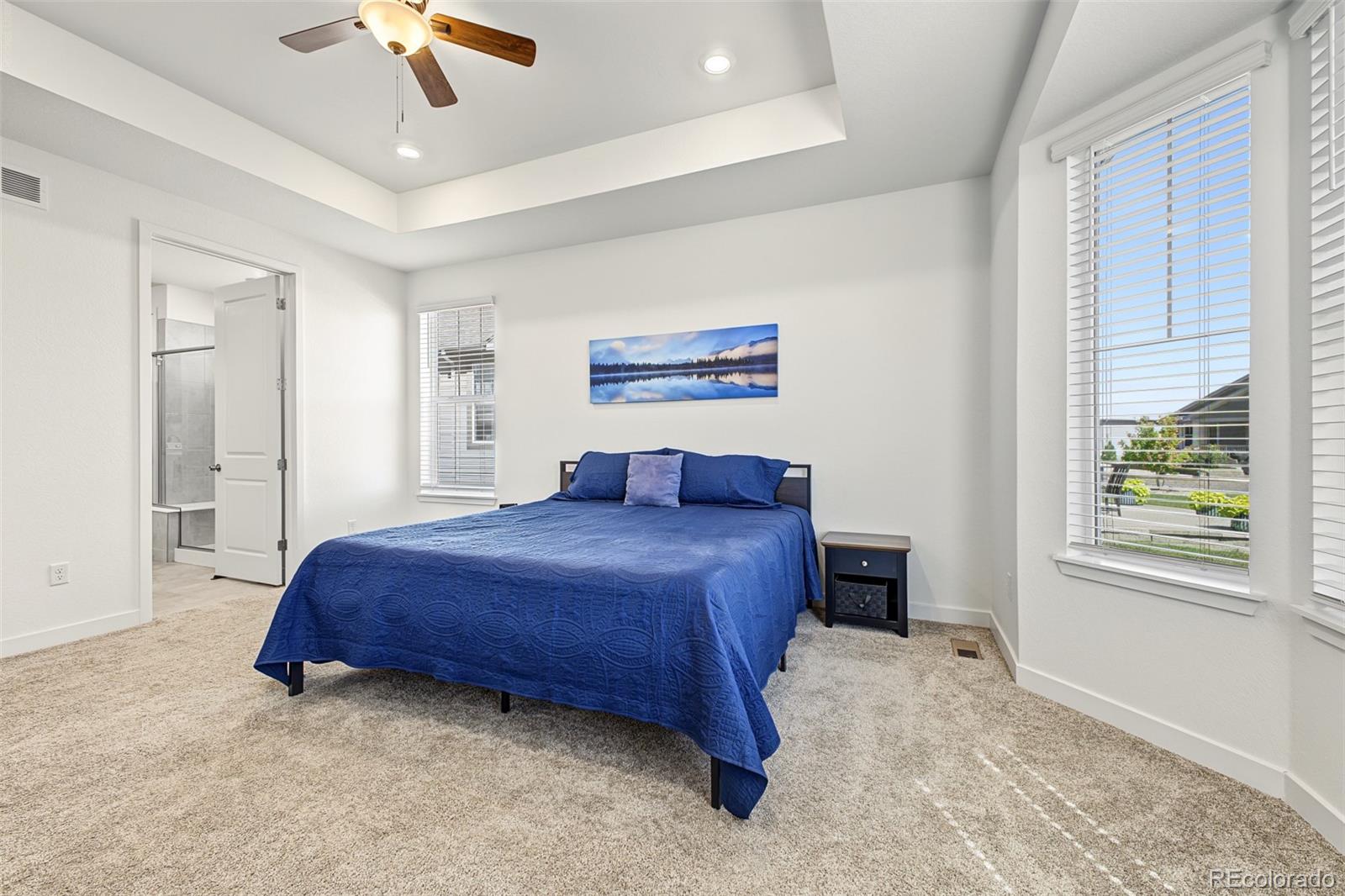 MLS Image #22 for 15682  willow street,thornton, Colorado