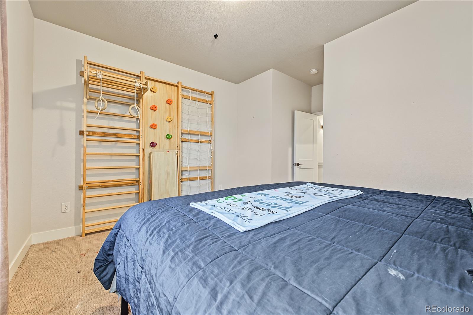 MLS Image #10 for 2652  arapahoe street,denver, Colorado