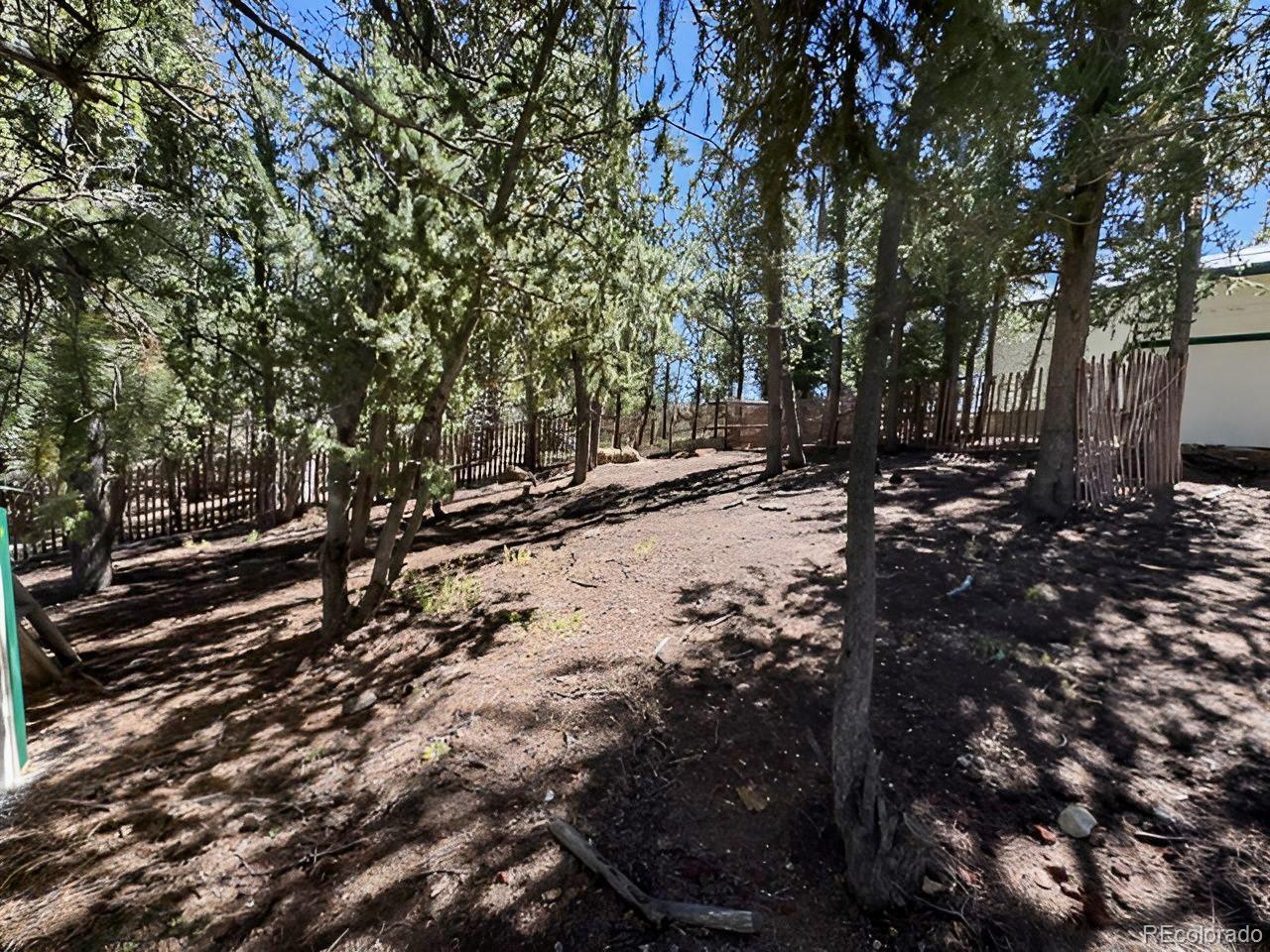 MLS Image #22 for 503  buffalo ridge road,como, Colorado
