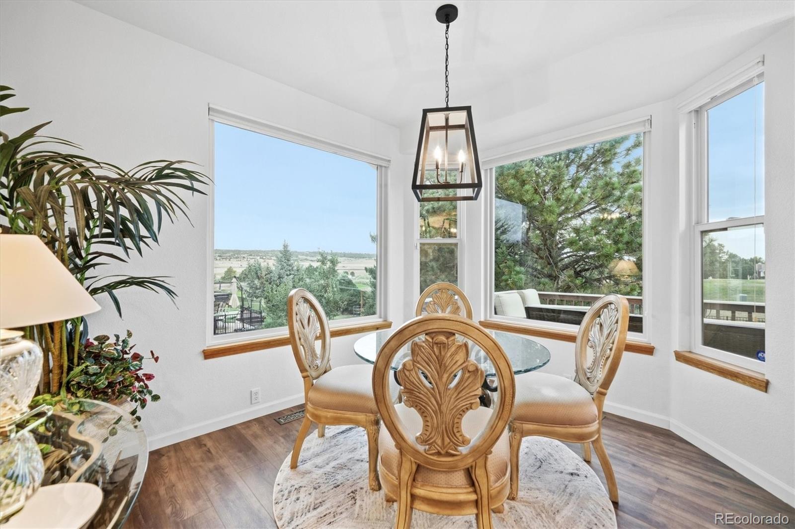 MLS Image #19 for 525 w prestwick way,castle rock, Colorado