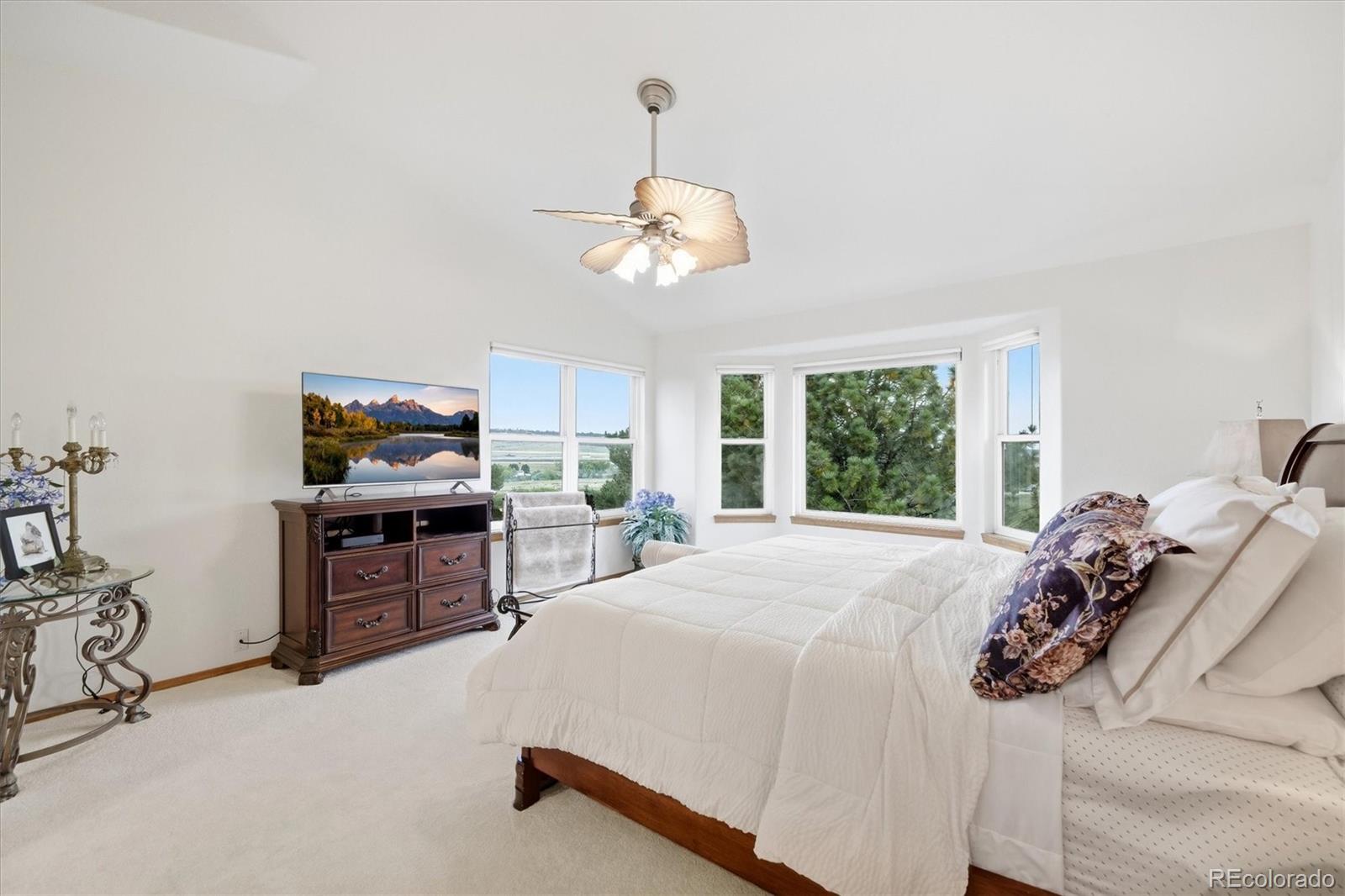 MLS Image #36 for 525 w prestwick way,castle rock, Colorado