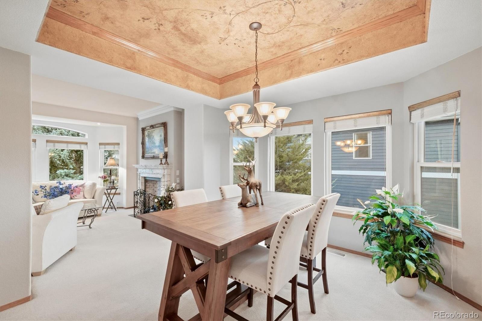 MLS Image #9 for 525 w prestwick way,castle rock, Colorado