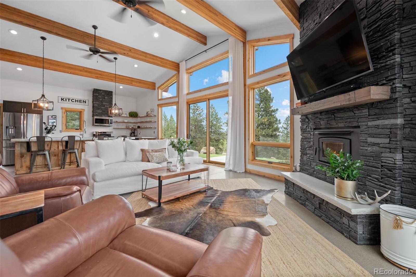 MLS Image #9 for 150  summit drive,bailey, Colorado