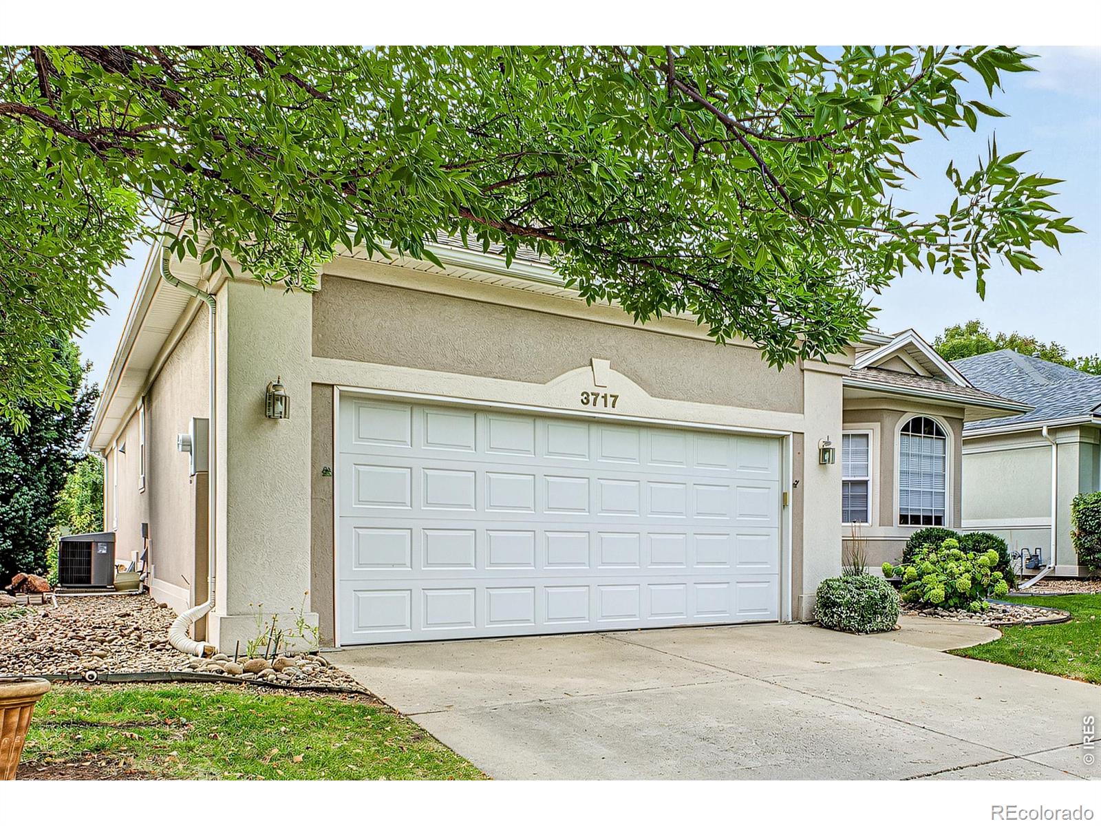 MLS Image #2 for 3717  doral drive,longmont, Colorado