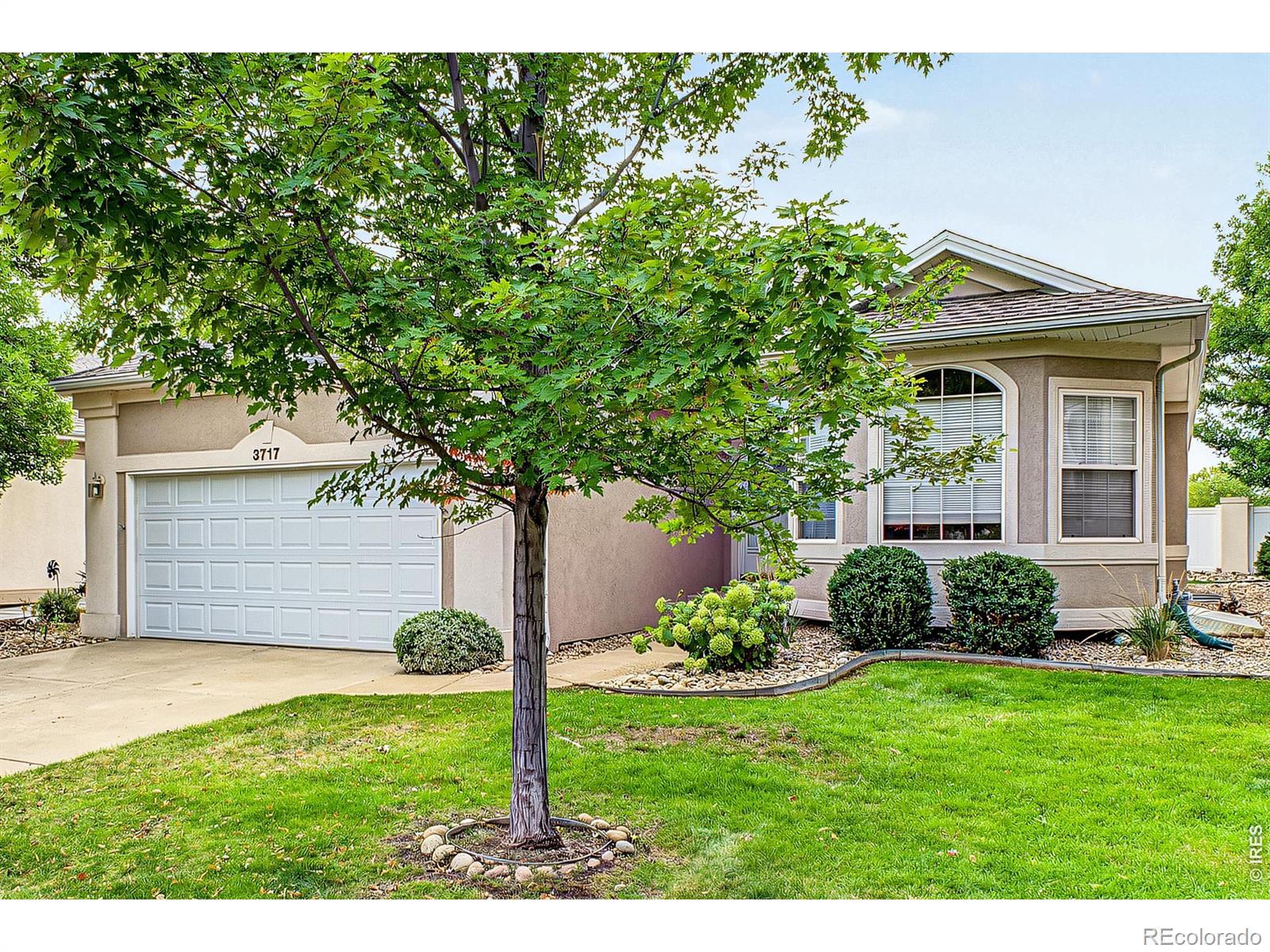 MLS Image #3 for 3717  doral drive,longmont, Colorado