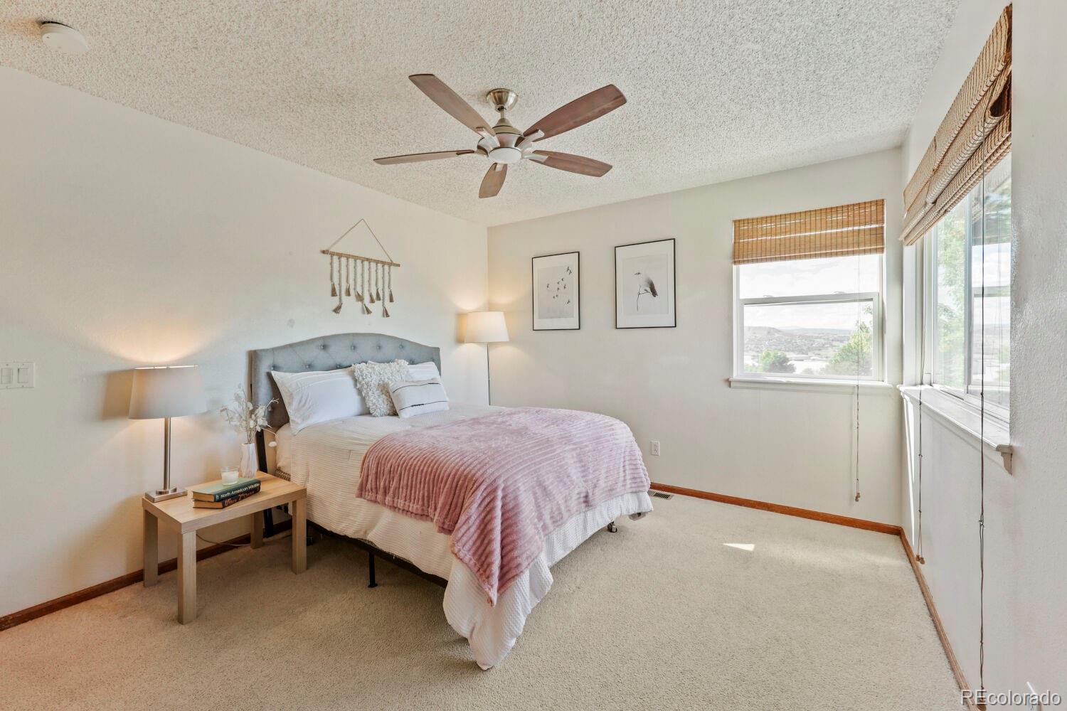 MLS Image #13 for 2324  meadows lane,castle rock, Colorado