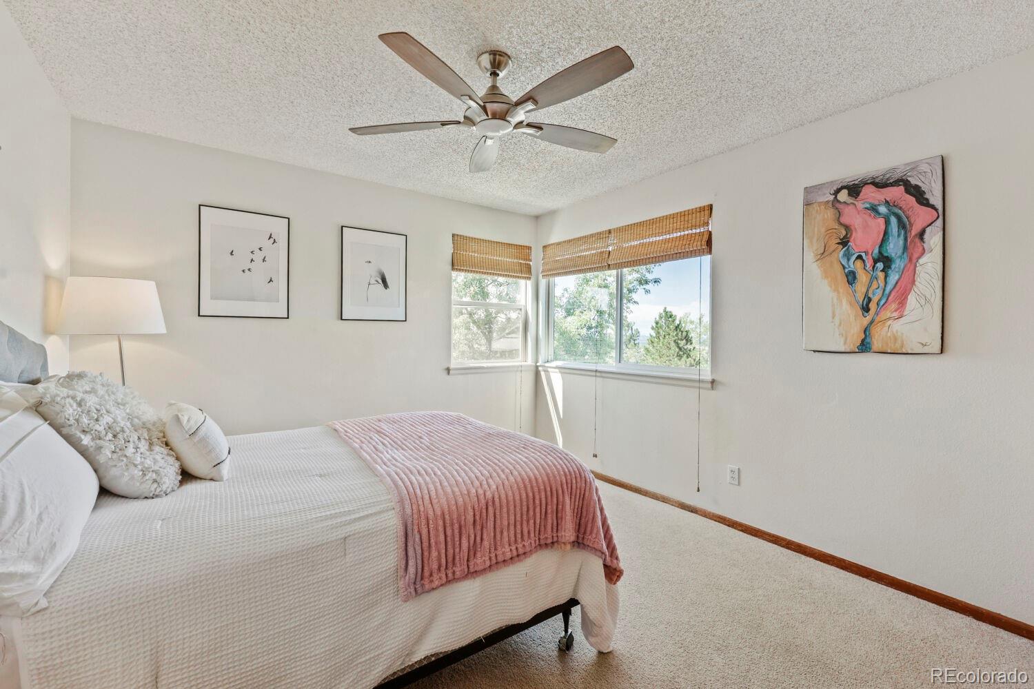 MLS Image #14 for 2324  meadows lane,castle rock, Colorado